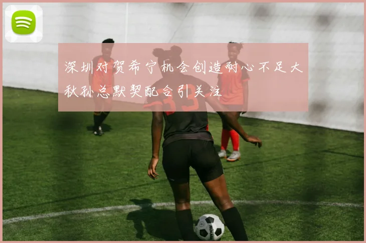 深圳对贺希宁机会创造耐心不足大秋孙总默契配合引关注